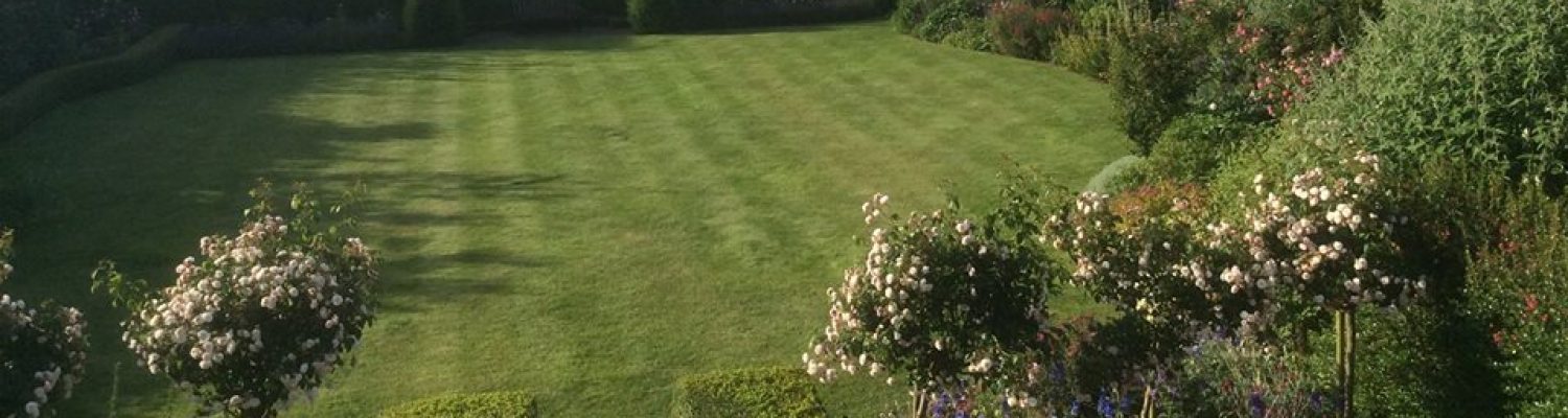 Lawn care for Suffolk & North Essex